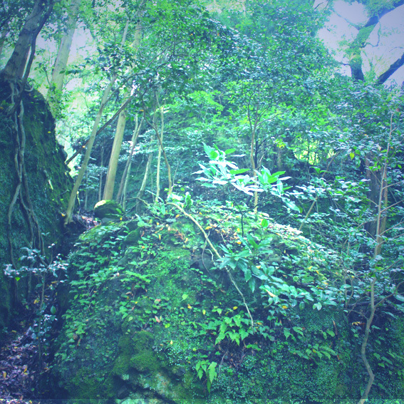 a0329820_13010405.jpg