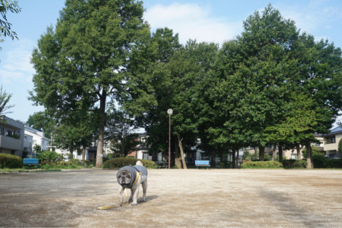 f0128821_22393879.jpg