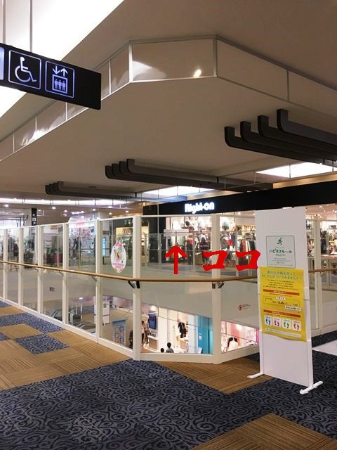 d0137326_11385247.jpg