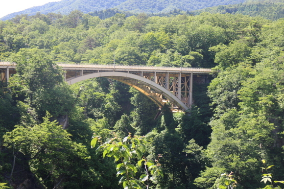 d0359935_07051577.jpg