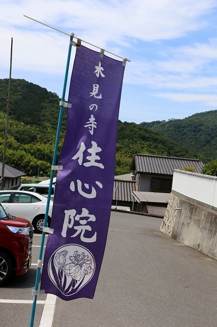 a0242438_20575381.jpg
