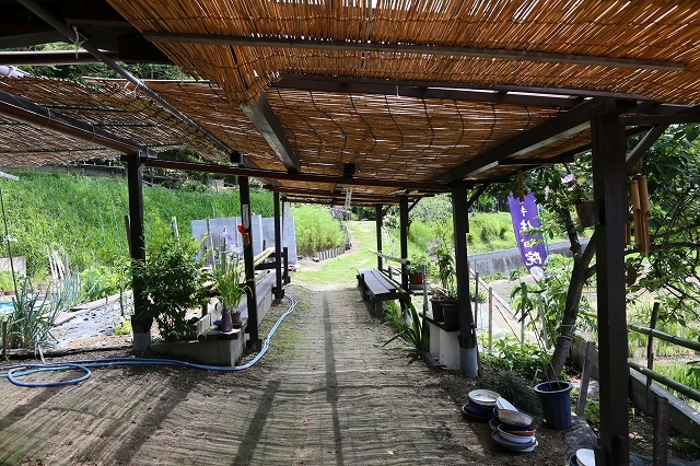 a0242438_20580187.jpg