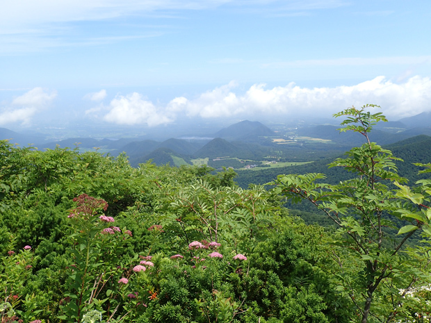 f0214649_04543056.jpg