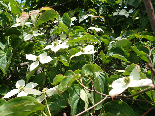 f0214649_04560058.jpg