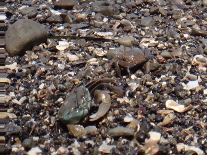 e0256851_22011145.jpg