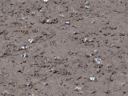 e0256851_22041457.jpg