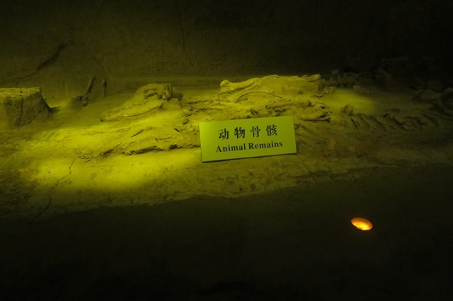 f0202151_14474423.jpg