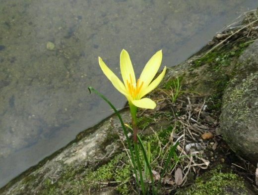 a0018655_14590548.jpg