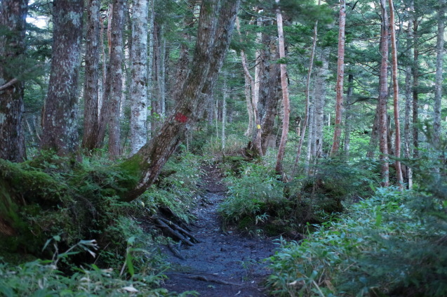 a0288155_18412238.jpg