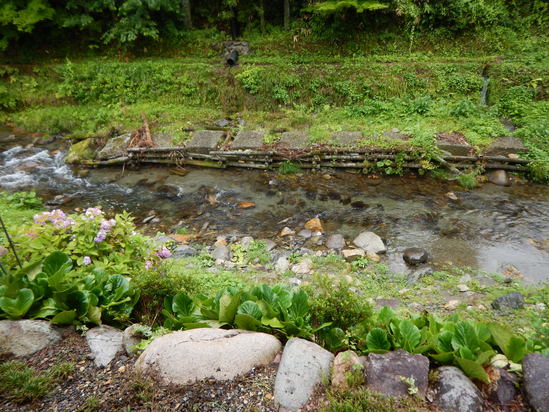 d0231858_217394.jpg