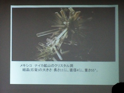 c0180460_1525237.jpg