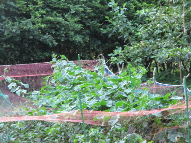b0366663_23343558.jpg
