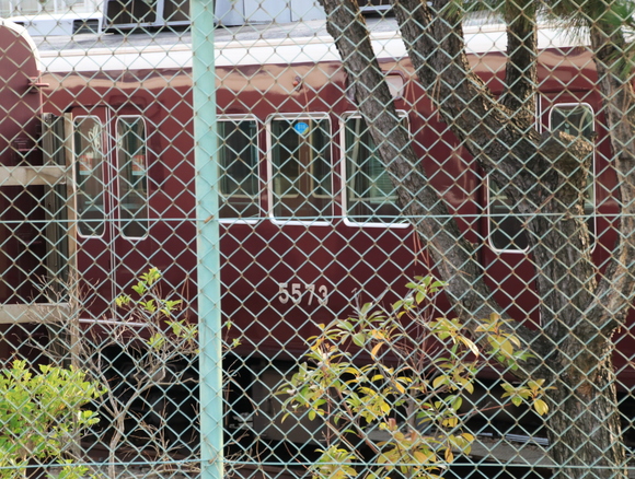 d0202264_2022848.jpg