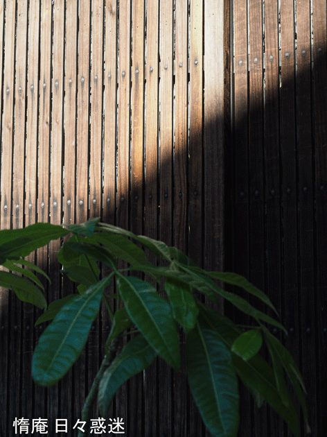 e0346064_19593325.gif