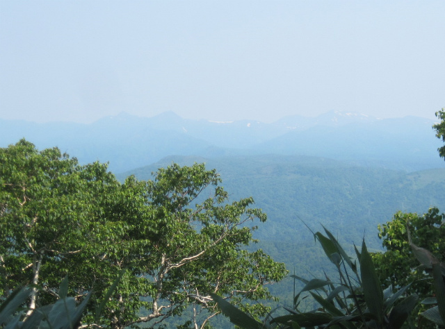c0219866_10140139.jpg