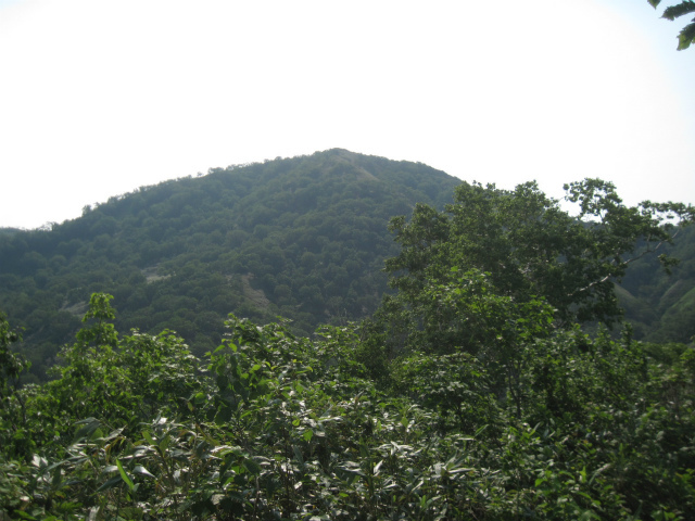 c0219866_10143882.jpg
