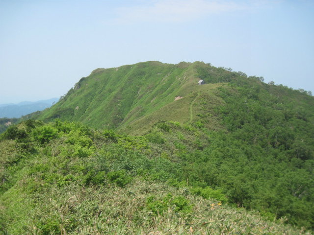 c0219866_10225200.jpg