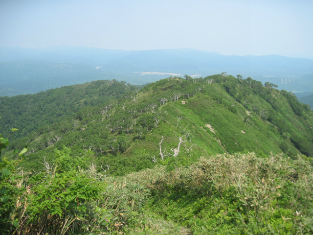 c0219866_10232465.jpg