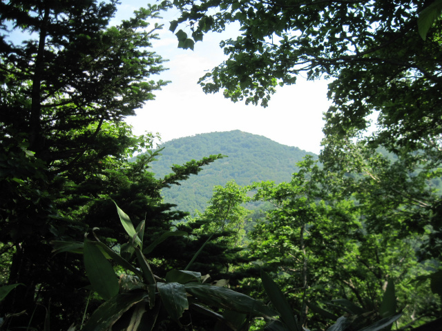 c0219866_10235310.jpg