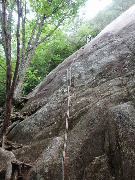 b0050067_21574678.jpg