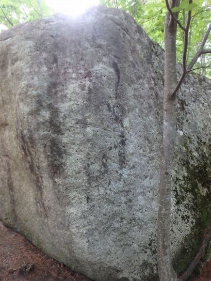 b0050067_22090287.jpg