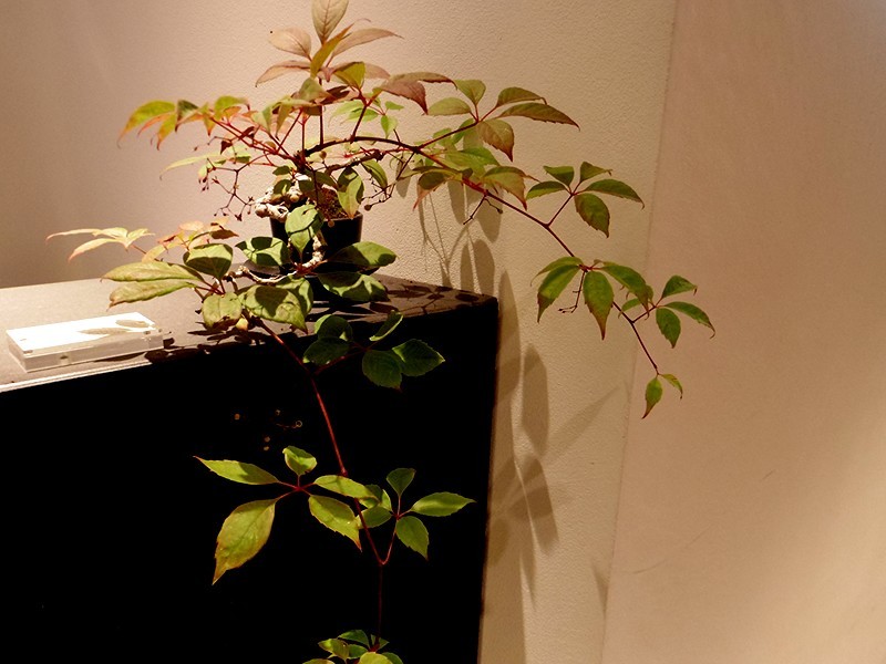 f0214467_09293838.jpg