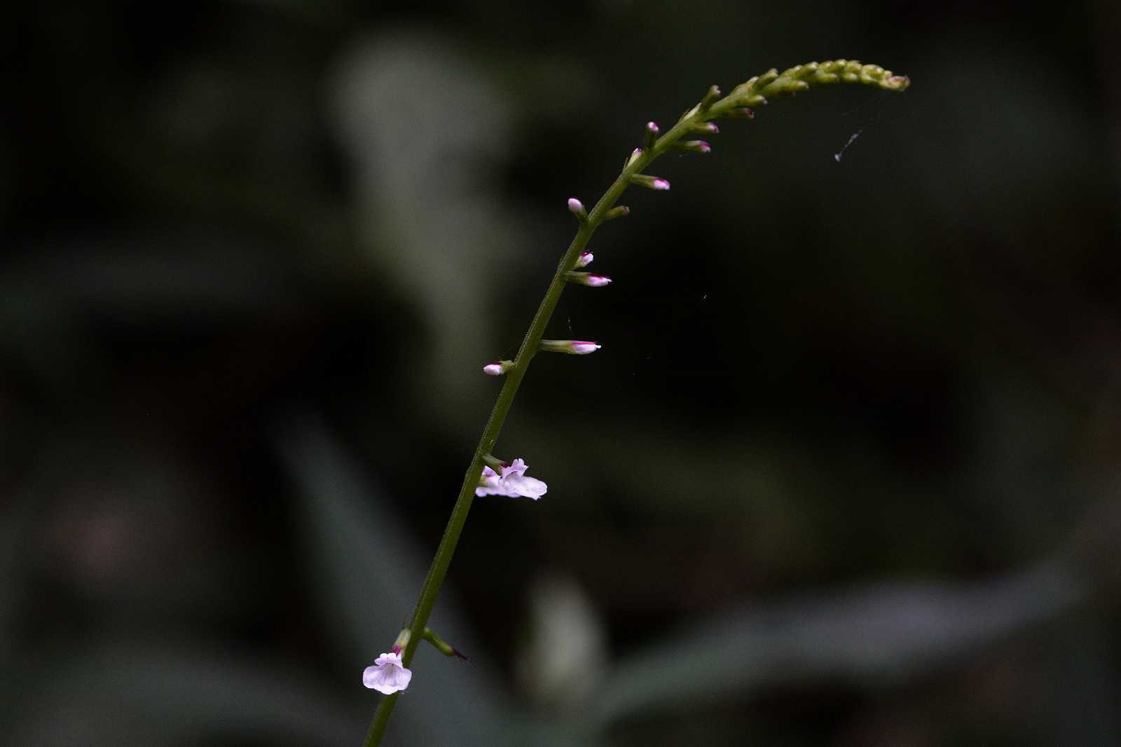 d0328977_09411970.jpg