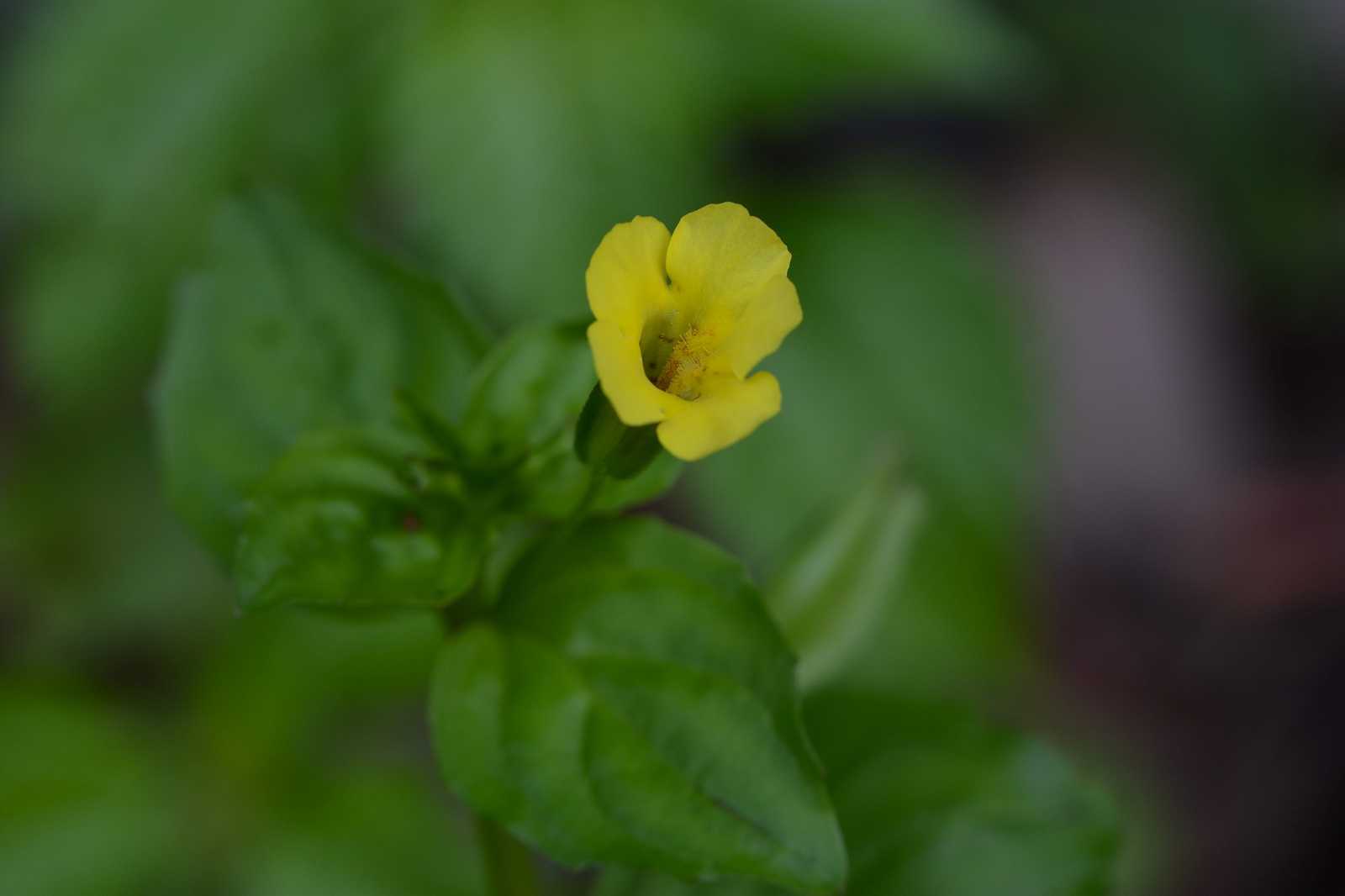 d0328977_09414130.jpg