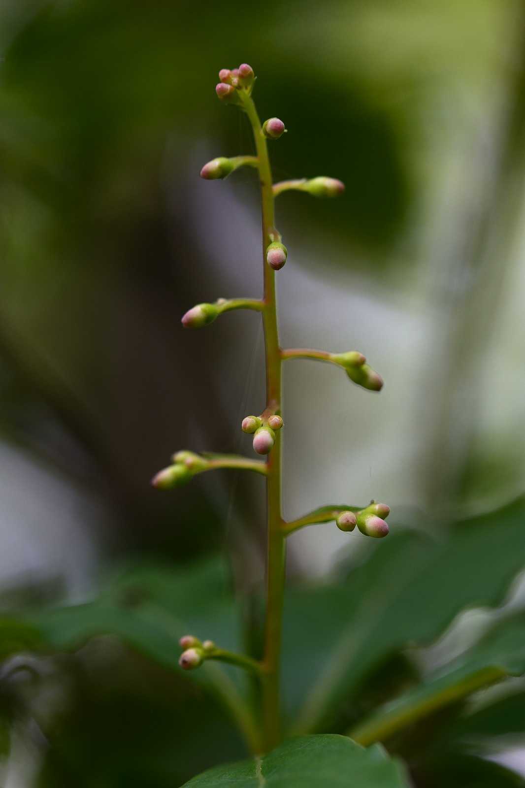d0328977_10102545.jpg