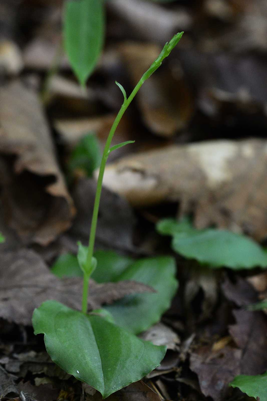 d0328977_10104179.jpg