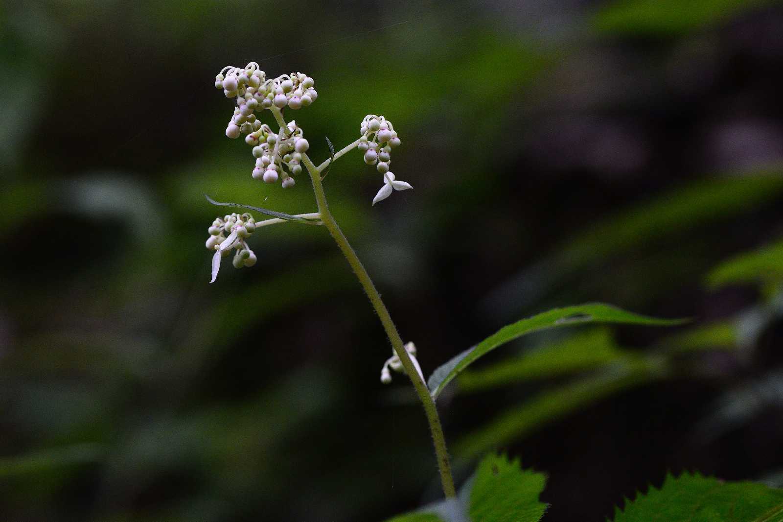 d0328977_10105513.jpg