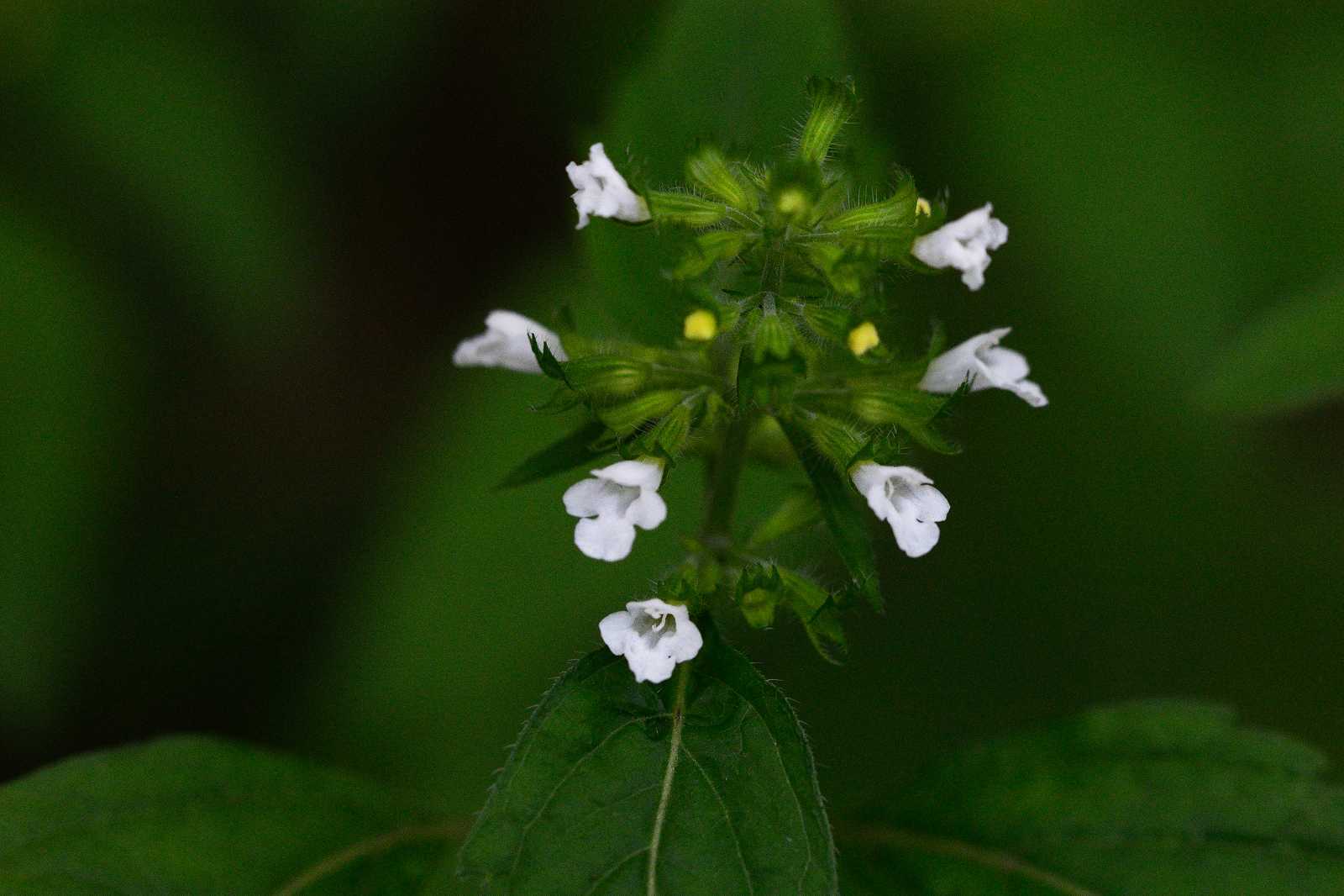 d0328977_10105673.jpg