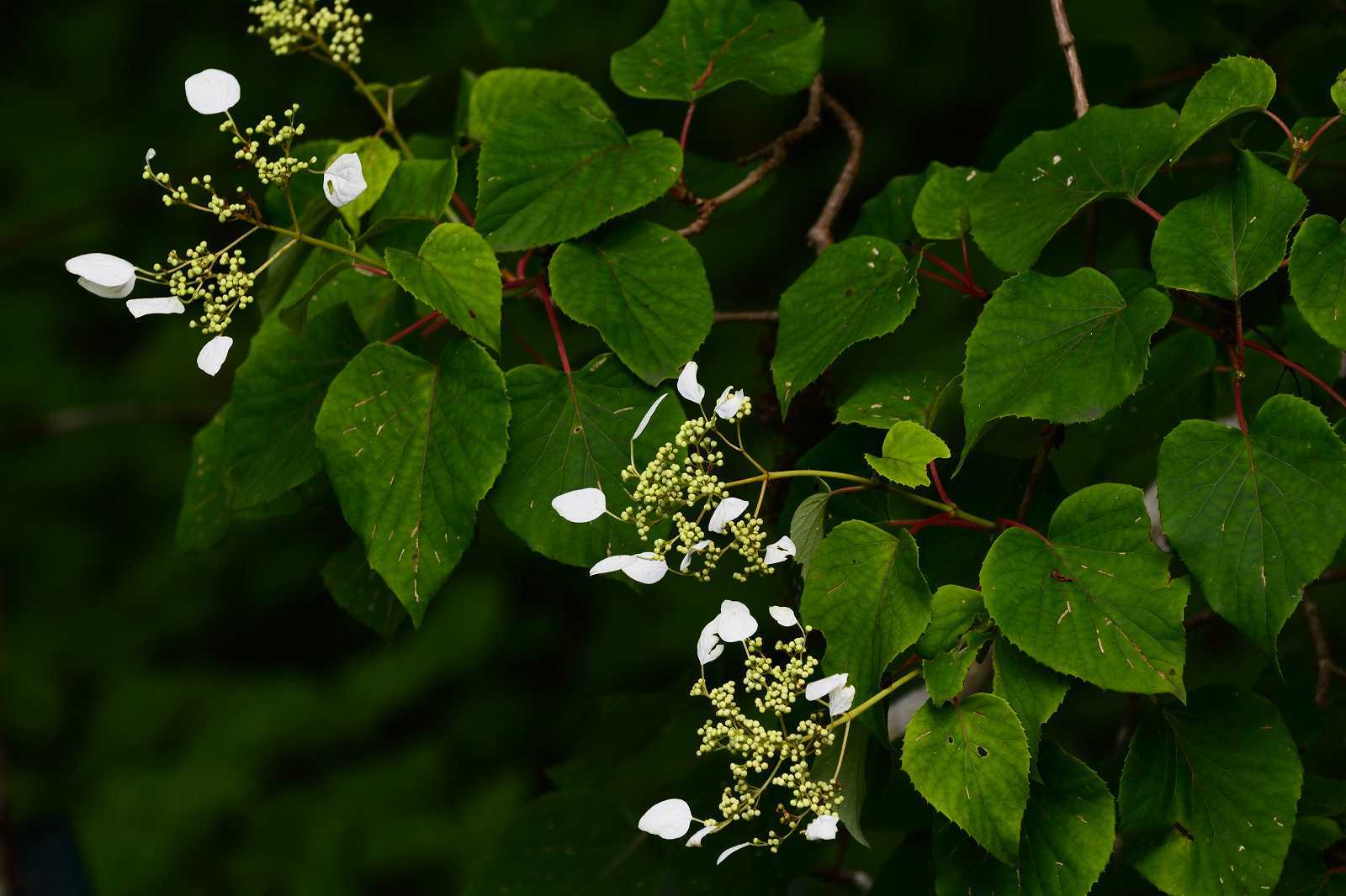 d0328977_10105747.jpg