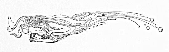 c0084183_16165666.jpg
