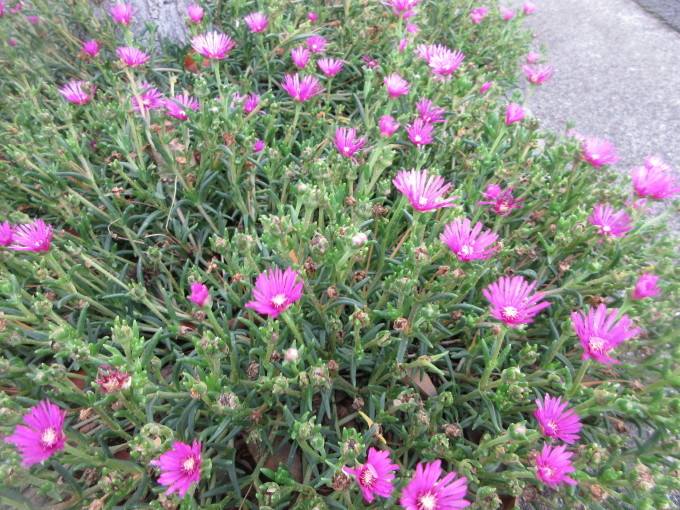 f0053885_20502601.jpg