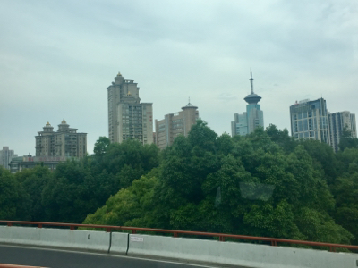 a0146493_09071329.jpg