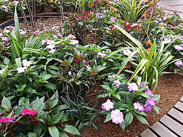 f0303594_20541246.jpg