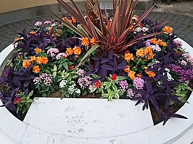 f0303594_20550519.jpg
