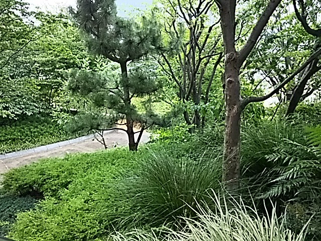 f0303594_20552924.jpg