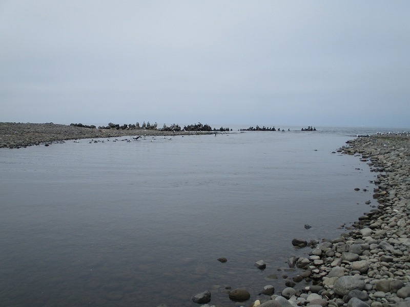 f0202703_2247061.jpg