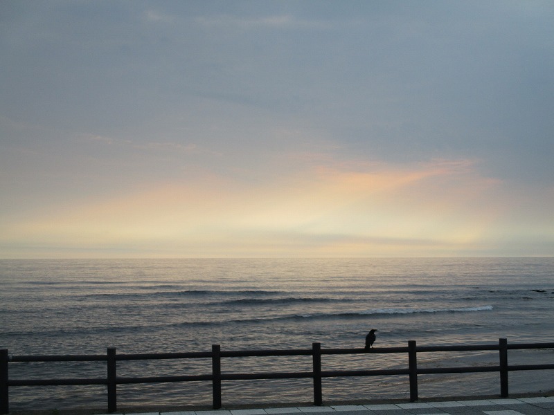 f0202703_23112444.jpg