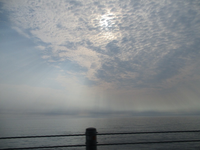 f0202703_233196.jpg