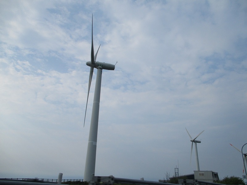 f0202703_233413.jpg