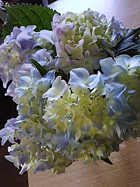 f0316507_09243662.jpg
