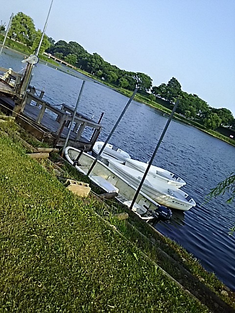 f0316507_21032611.jpg