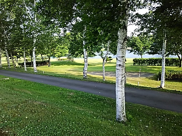 f0316507_21034537.jpg