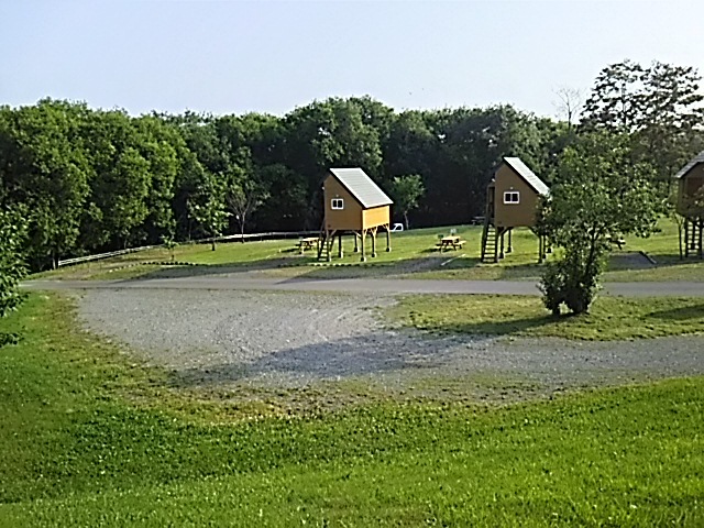 f0316507_21041049.jpg