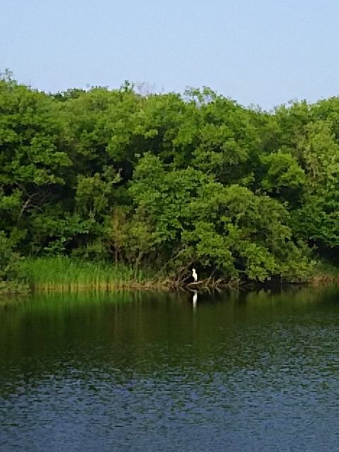 f0316507_21044849.jpg
