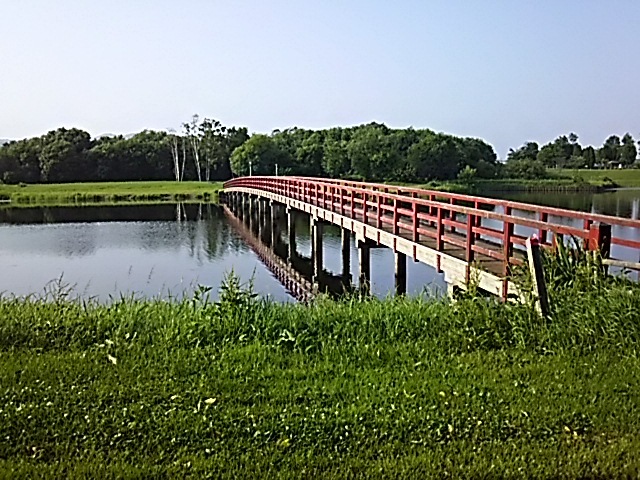 f0316507_21055340.jpg