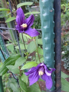 f0325309_18511366.jpg